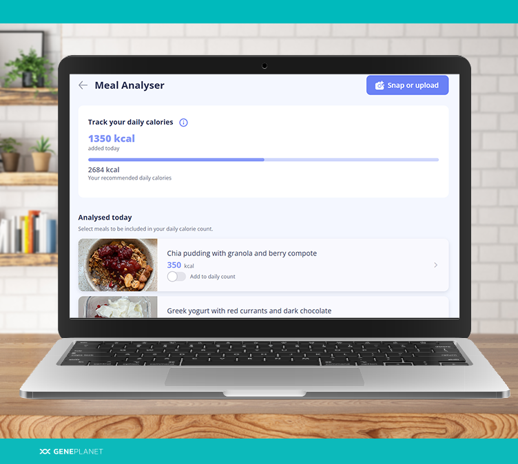 Open laptop displaying the central screen of Meal Analyser
